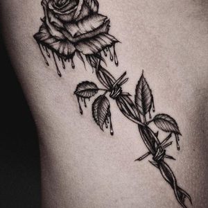 Meet your Posher, Anabel